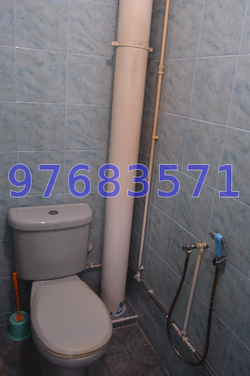 Blk 407 Hougang Avenue 10 (Hougang), HDB Executive #33502062